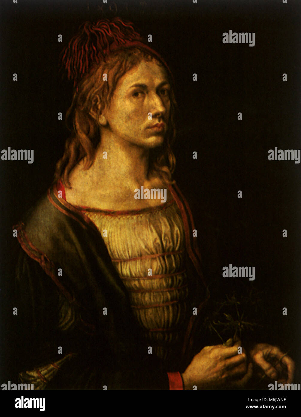 Autoritratto con uno spruzzo di Eryngium, Durer, Albrecht, 1493. Foto Stock
