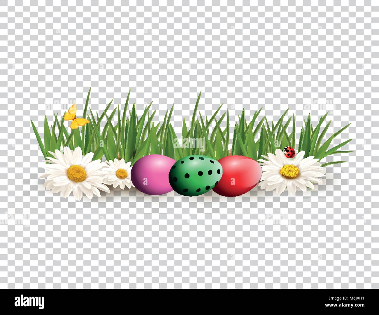 Felice Pasqua clip art per biglietto di auguri con colorate tinte luminose uova giacente su erba verde tra fiori chimomile, farfalla, e lady bug isolato Illustrazione Vettoriale