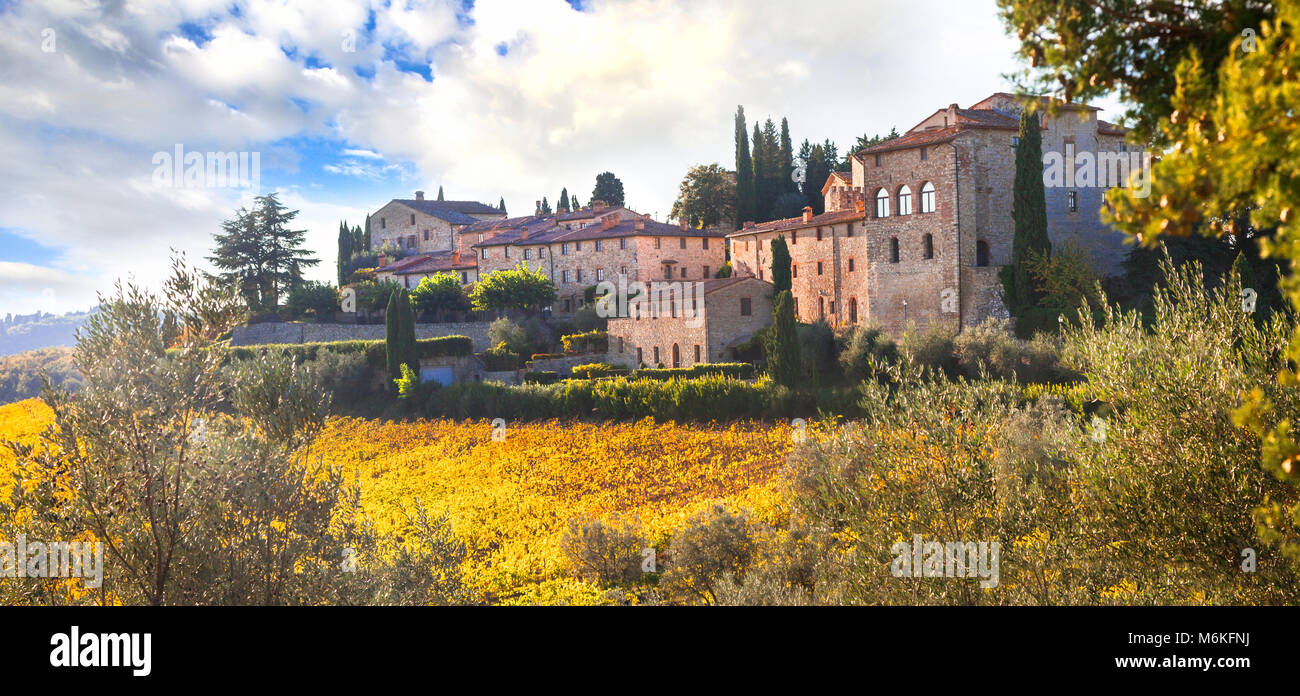 Il villaggio tradizionale di Toscana,vista con variopinti vigneti,Chianti. Foto Stock