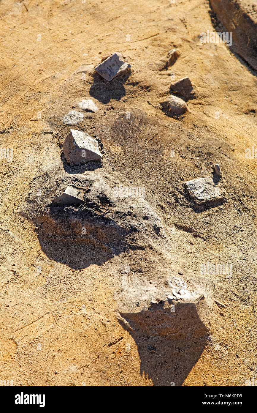 Reperti archeologici della prima età del ferro sulla superficie di scavo prima che essi vengono estratti dal suolo. Un bronzo celt e ornamenti a fr Foto Stock