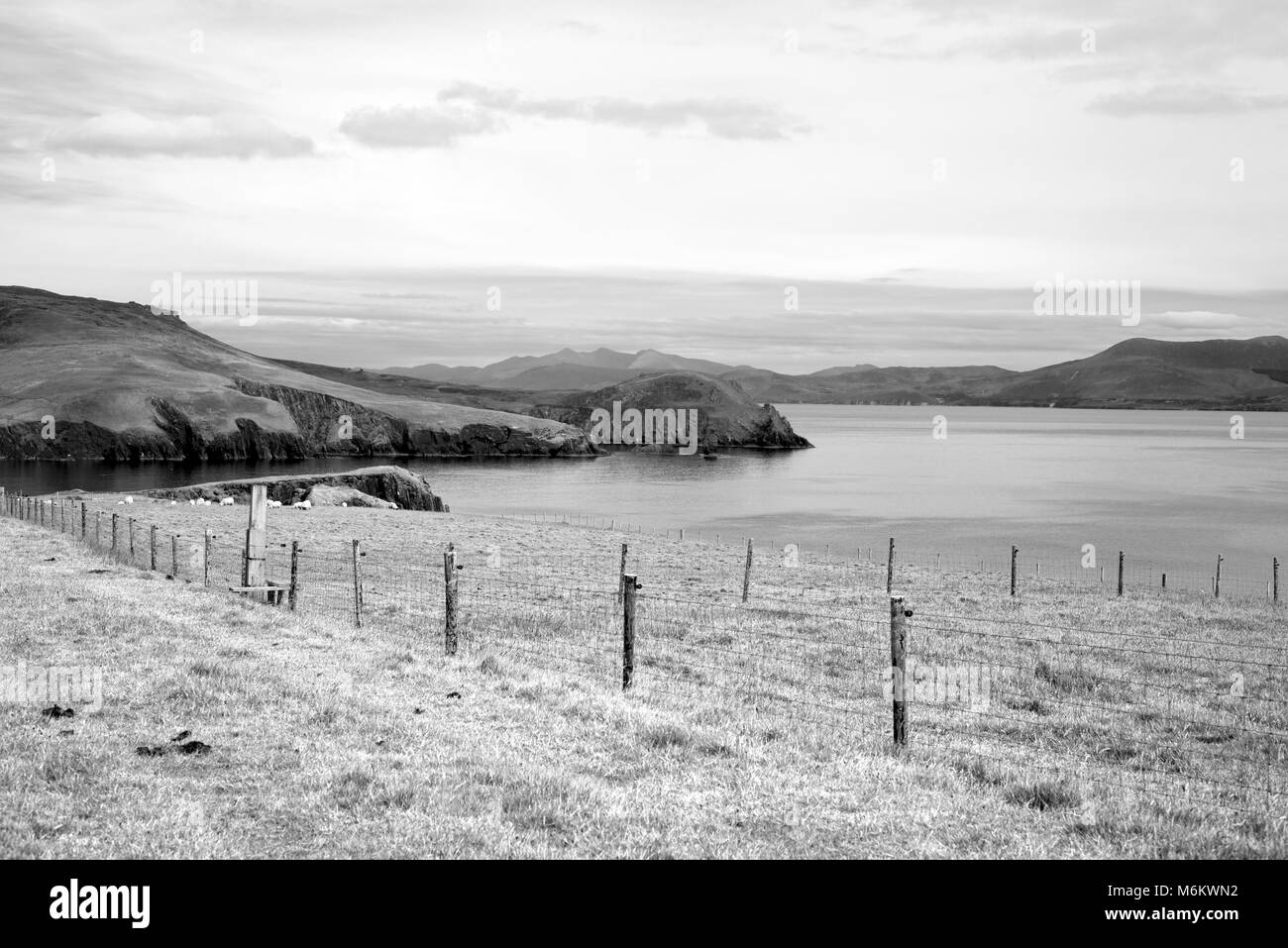 La penisola di Dingle sulla wild atlantic modo nella contea di Kerry Irlanda Foto Stock