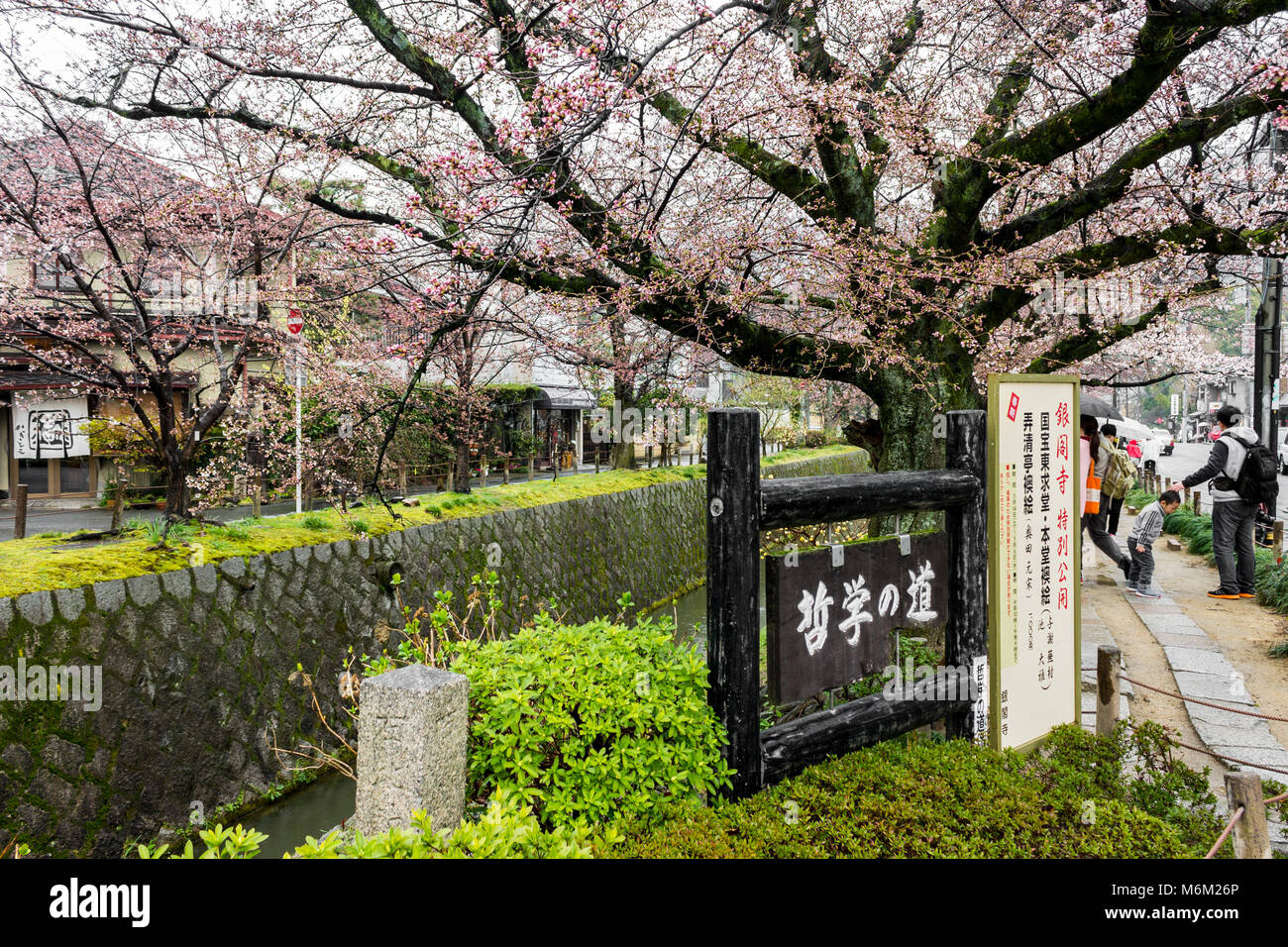 Sakura bello fiori di ciliegio durante il hanami in Tetsugaku-no-michi (filosofo a piedi), Kyoto, Giappone Foto Stock