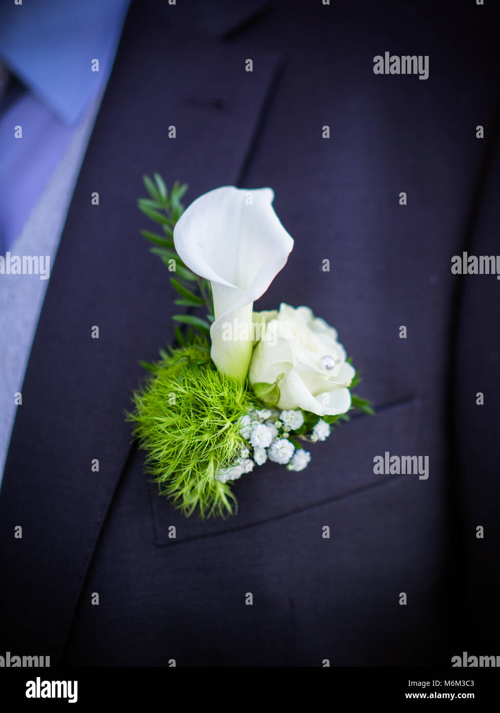 Sposo che indossa in blu scuro abito formale con eleganti boutonniere dalla calla lily flower Foto Stock