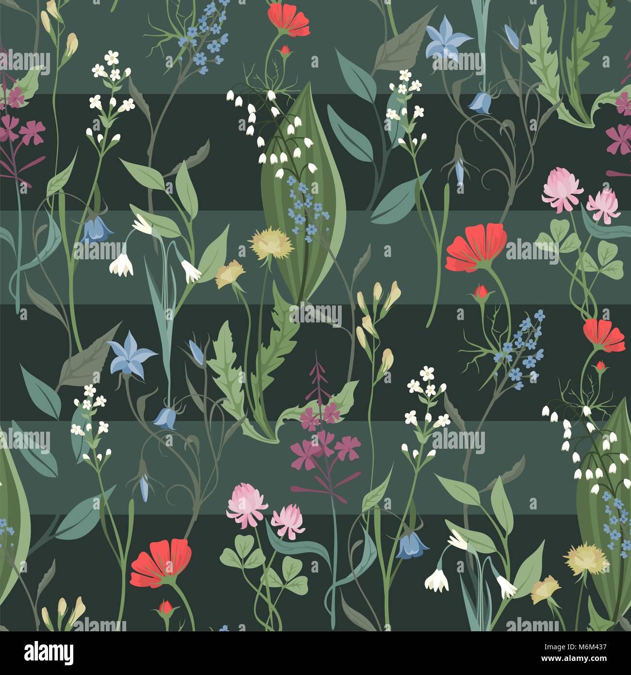 Erbe e fiori selvatici vettore modello senza giunture di botanica bdckground texture illustrazioni vintage immagini flowes Illustrazione Vettoriale