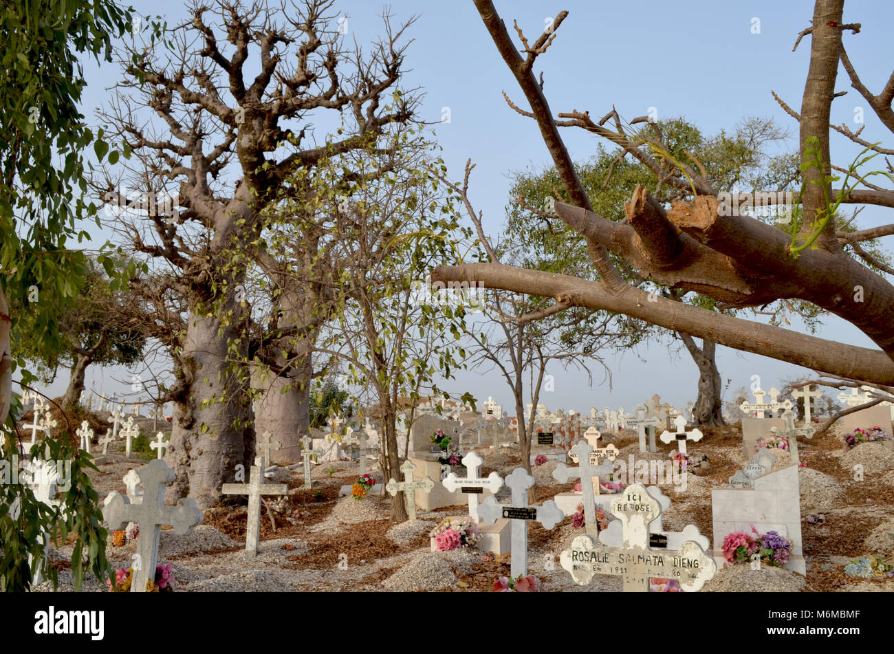 Musulmani e Cristiani nel cimitero Joal-Fadiouth, Petite Côte, Senegal Foto Stock