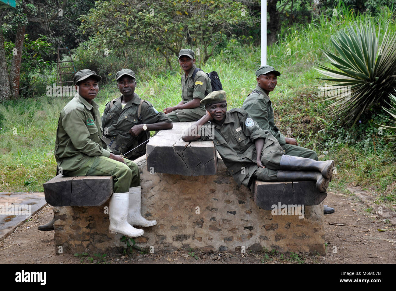 Repubblica democratica del Congo, Khauzi-Biega Parco Nazionale Foto Stock