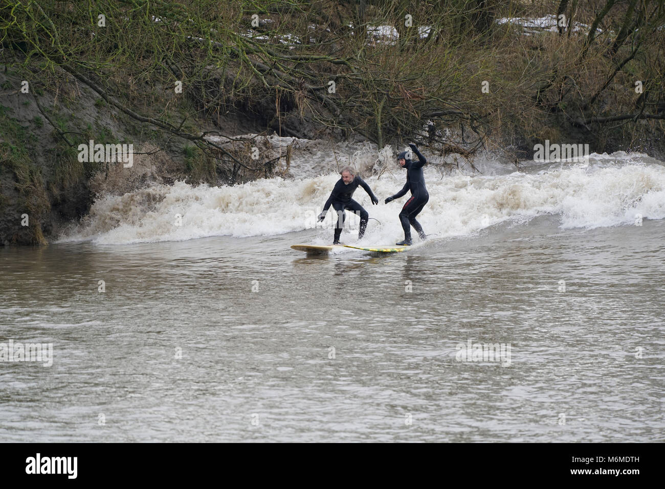 Surfers affrontare un quattro stelle Severn Bore - probabilmente uno dei migliori dell'anno - a circa 9.30 il 4 marzo 2018 a Minsterworth. Foto Stock