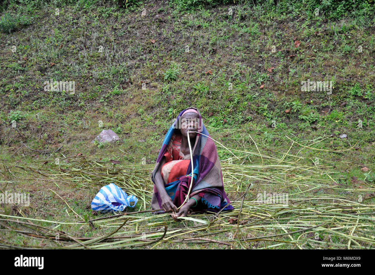 In Uganda, Pigmee persone Foto Stock