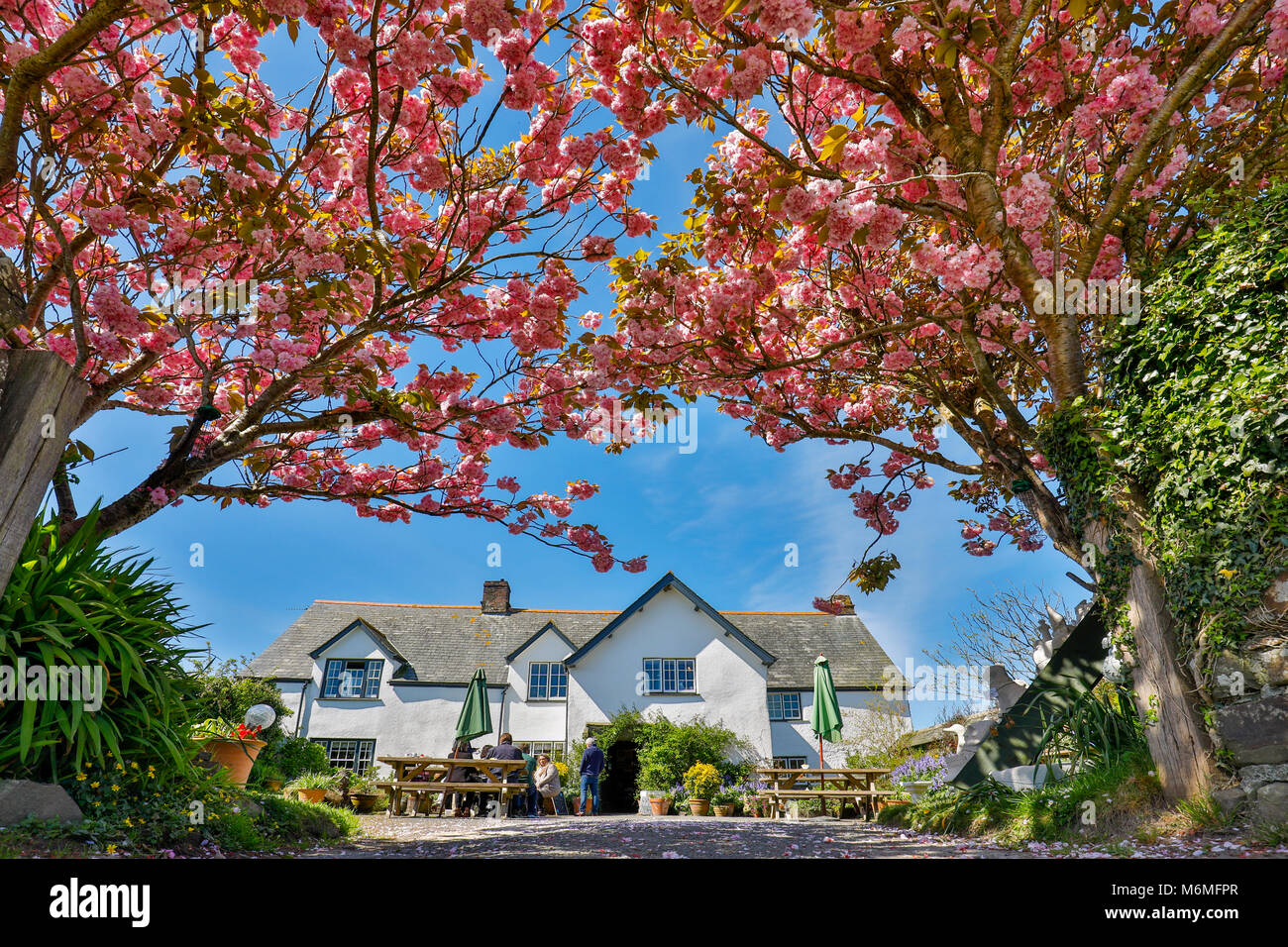 Morwenstow canonica sala da tè; Cornovaglia; Regno Unito Foto Stock