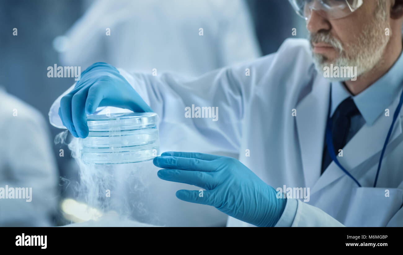 Close-up di un Medical Research Scientist trattiene il freddo piastra Petri con campioni. Egli lavora in un affollato laboratorio moderno Centro. Foto Stock