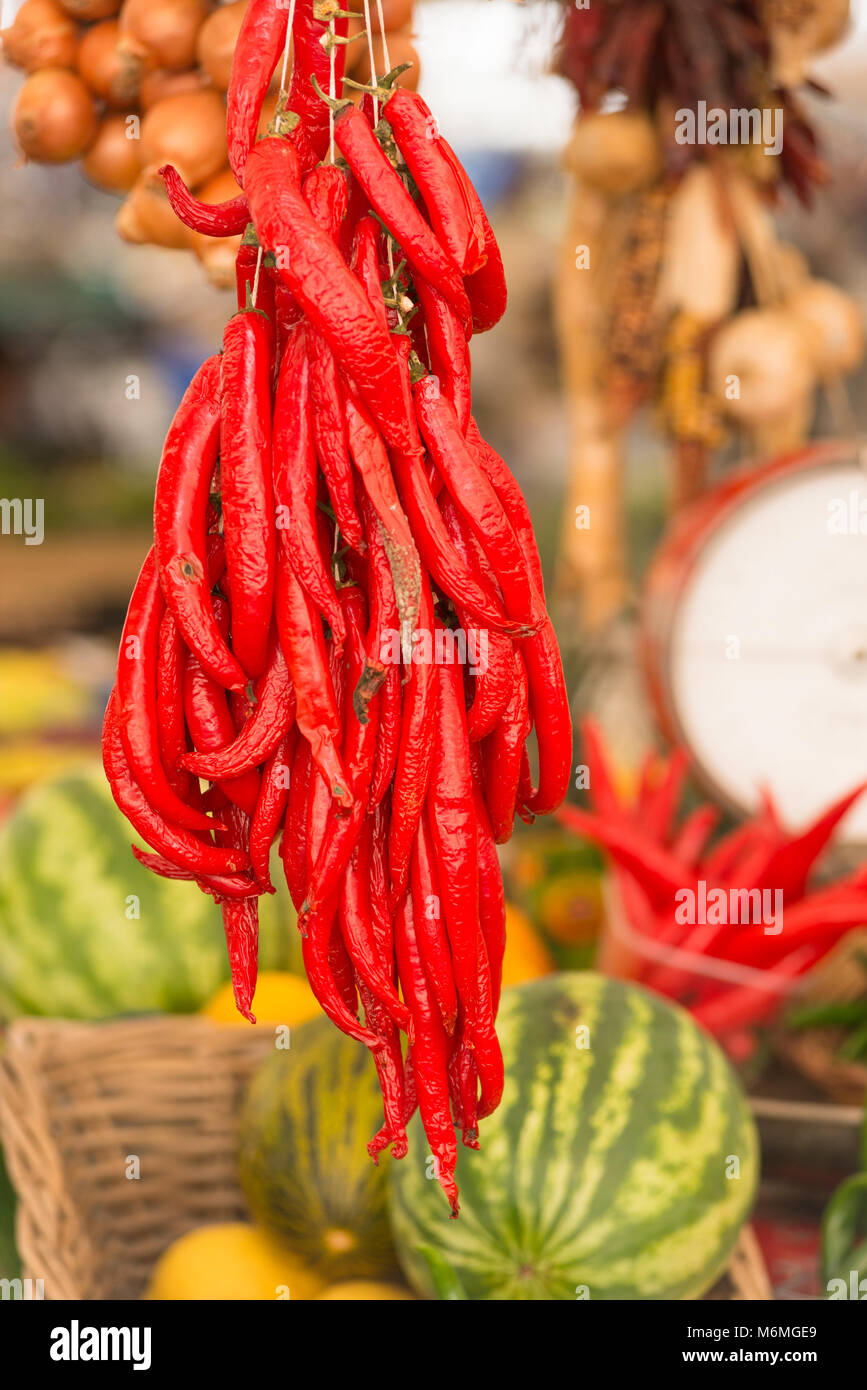 Red peperoncini piccanti appeso di stallo di mercato a Campo de' Fiori Mercato, Roma, Italia. Foto Stock