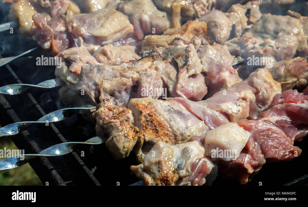 Il kebab spiedini sulla griglia Foto Stock