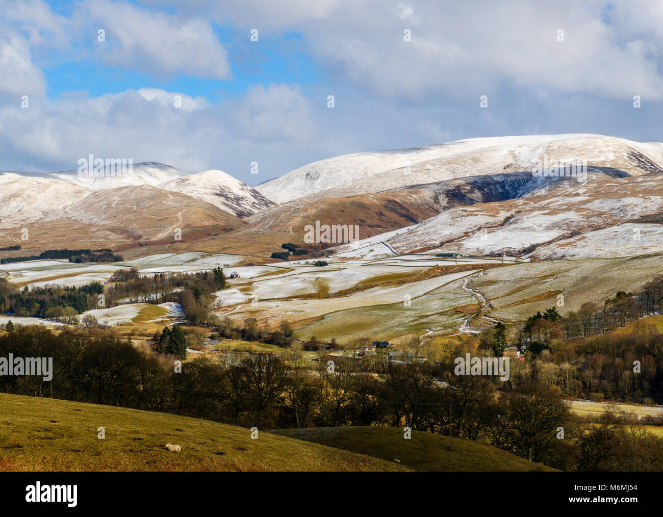 La Moffat Hills, appena a nord di Moffat Scozia, in inverno Foto Stock