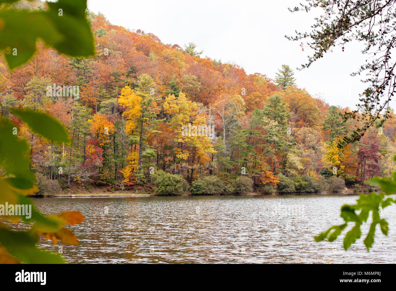 Vogel State Park, Blairsville, Georgia Foto Stock