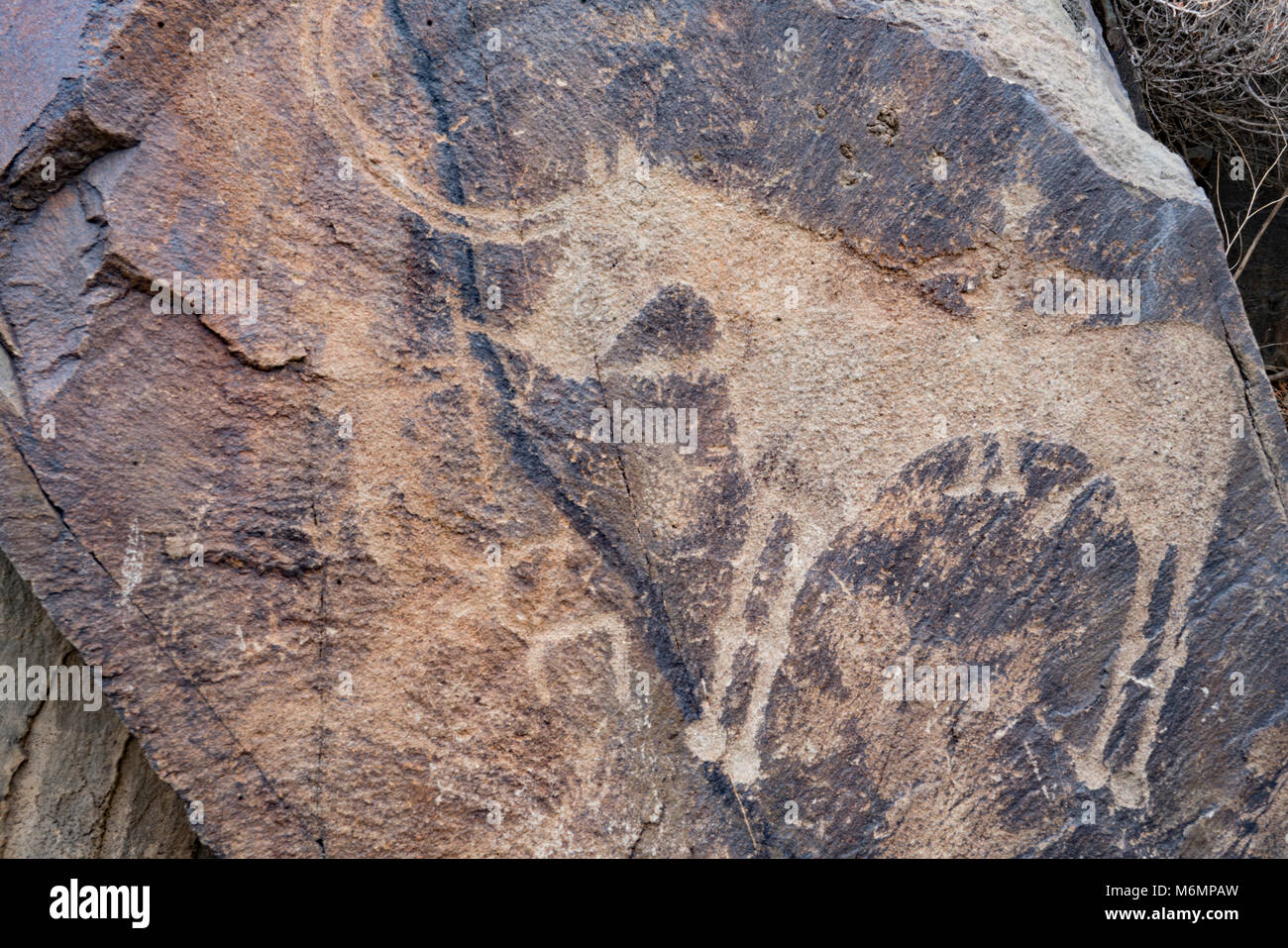Incisioni rupestri a Tambaly Achaeological paesaggio, Kazakistan, Tambaly Gorge, montagne Chu-Lii Età del Bronzo di arte rupestre, Patrimonio Mondiale dell UNESCO Foto Stock