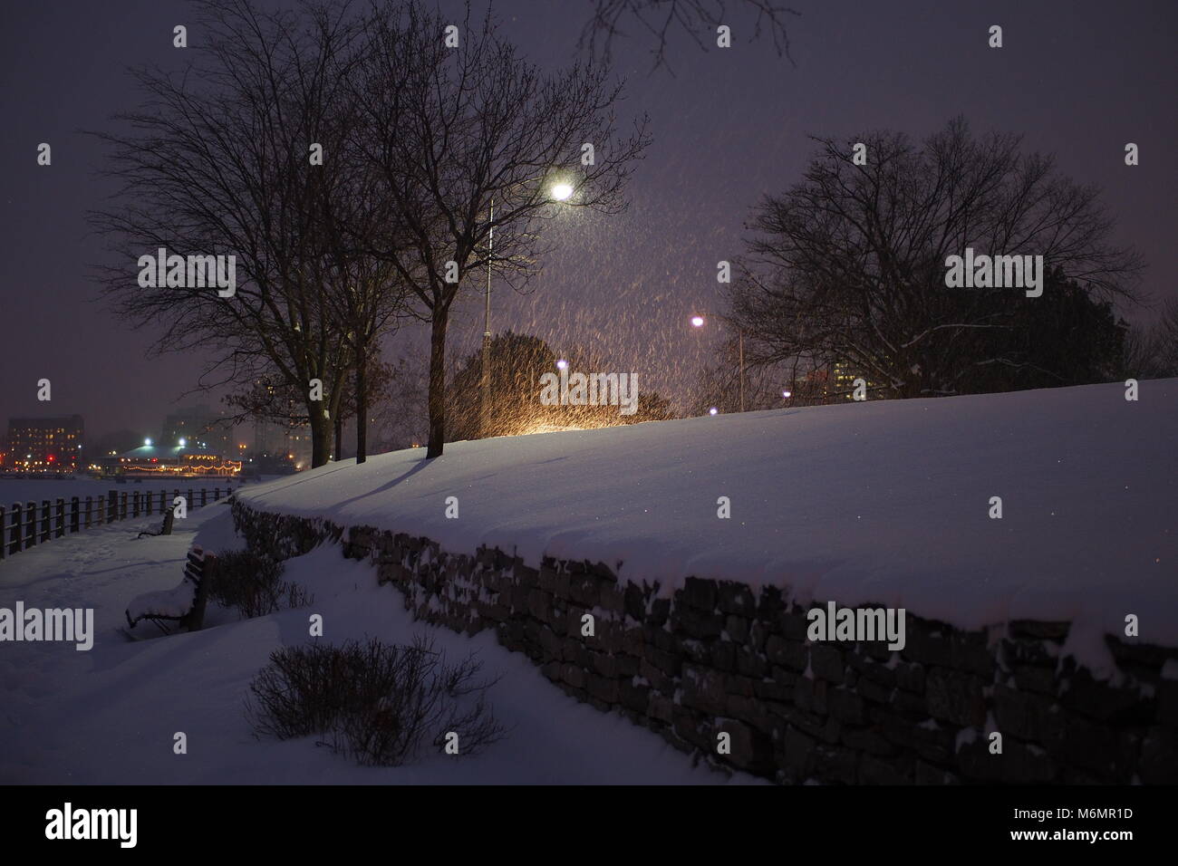 Auto fari anteriori e luci di strada evidenziare la caduta di neve, Queen Elizabeth Drive a Dow's Lake, Ottawa, Ontario, Canada. Foto Stock