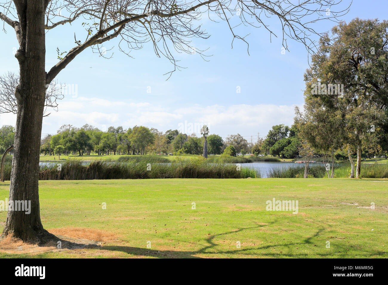 Tranquillo pomeriggio a El Dorado East Regional Park, Long Beach California Foto Stock