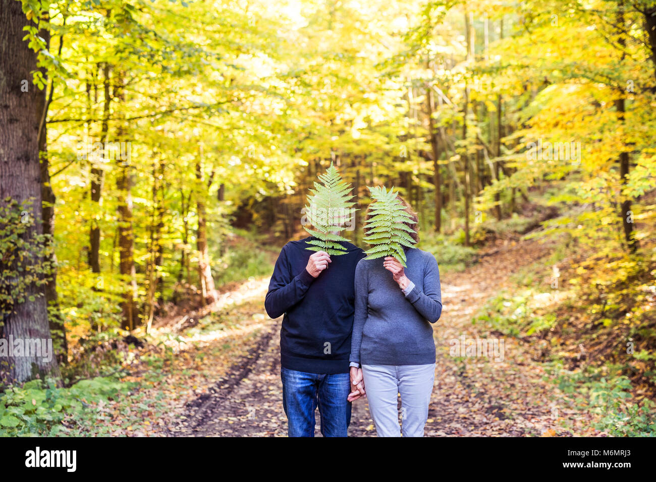 Coppia senior in una passeggiata nella foresta di autunno. Foto Stock