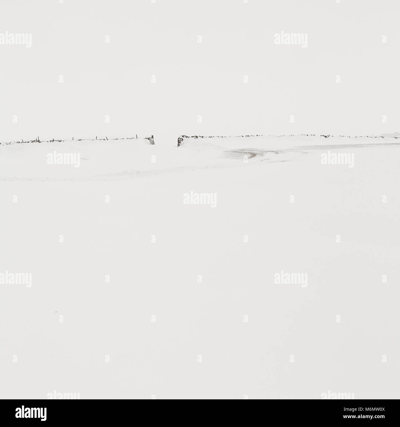 Coperta di neve campo in Northumberland REGNO UNITO Foto Stock