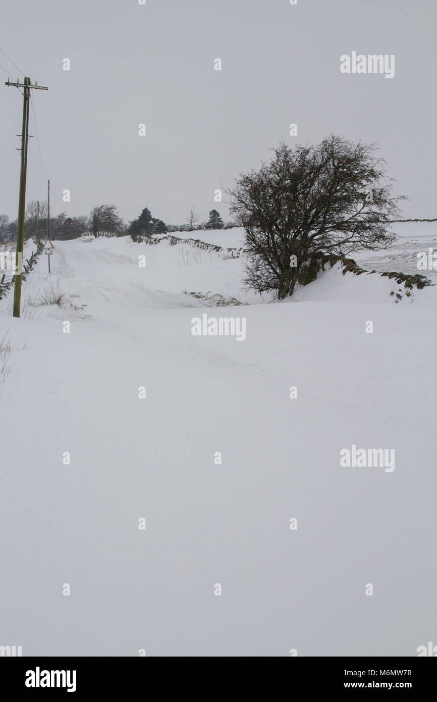 Cumuli di neve su strada rurale in Northumberland REGNO UNITO Foto Stock
