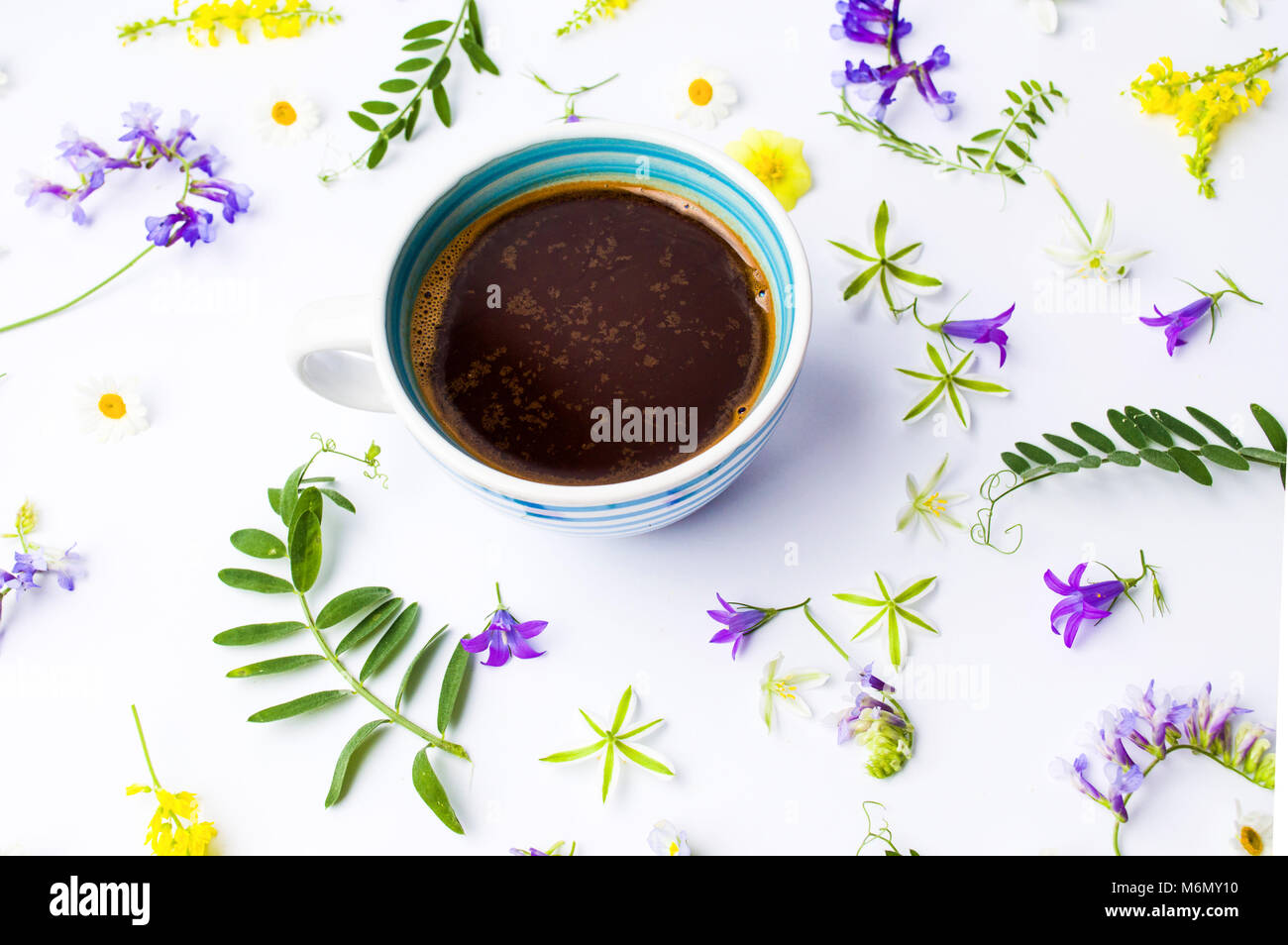 Tazza di caffè e fiori colorati su sfondo bianco Foto Stock