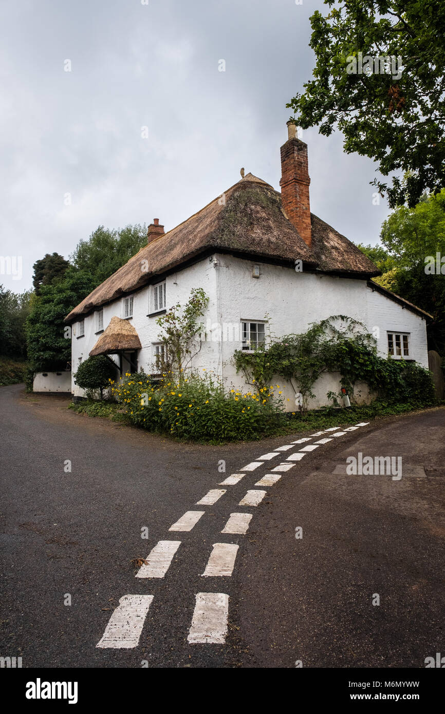 Inglese cottage con il tetto di paglia nel Devon campagna Foto Stock