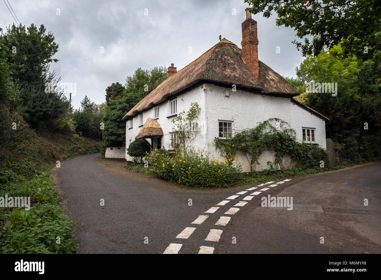 Inglese cottage con il tetto di paglia nel Devon campagna Foto Stock