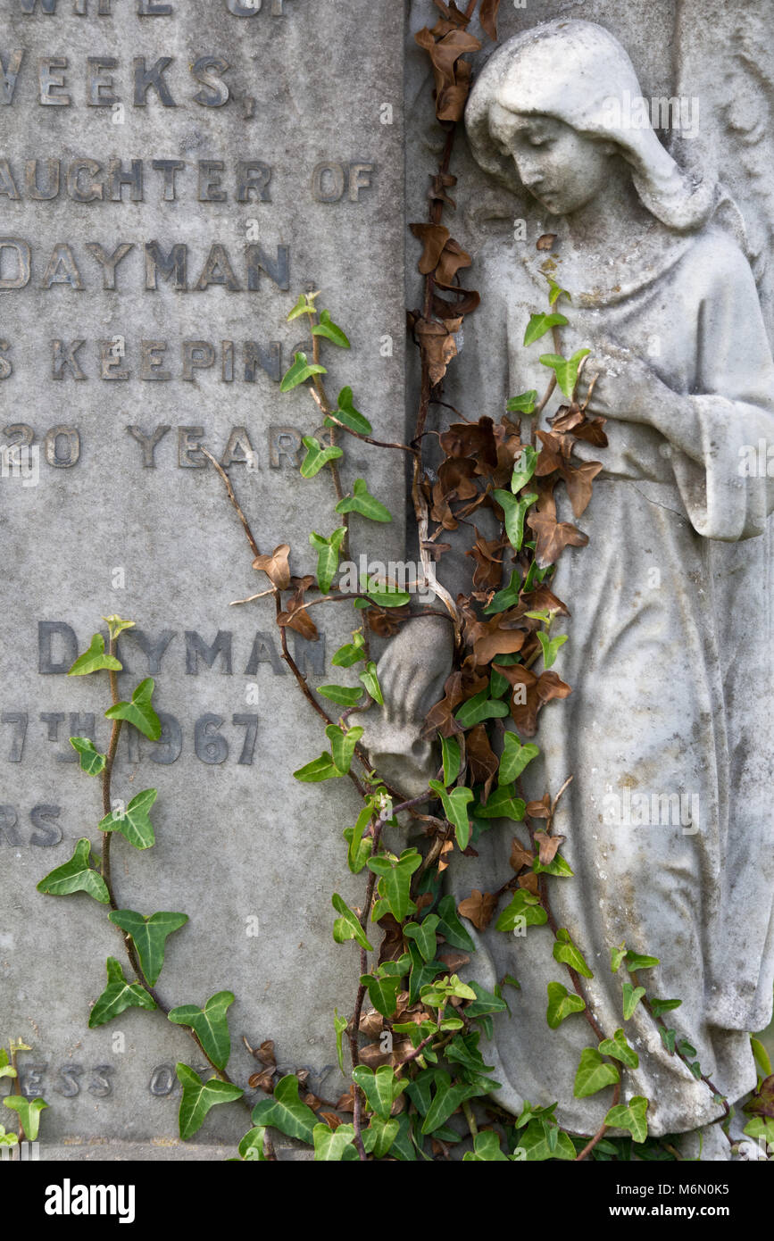 Ivy cresce attraverso una pietra tomba nel cimitero cimitero di 'Old Churchof St Nicholas' in salita Hill, vicino Weston-Super-Mare nel Somerset, Inghilterra Foto Stock