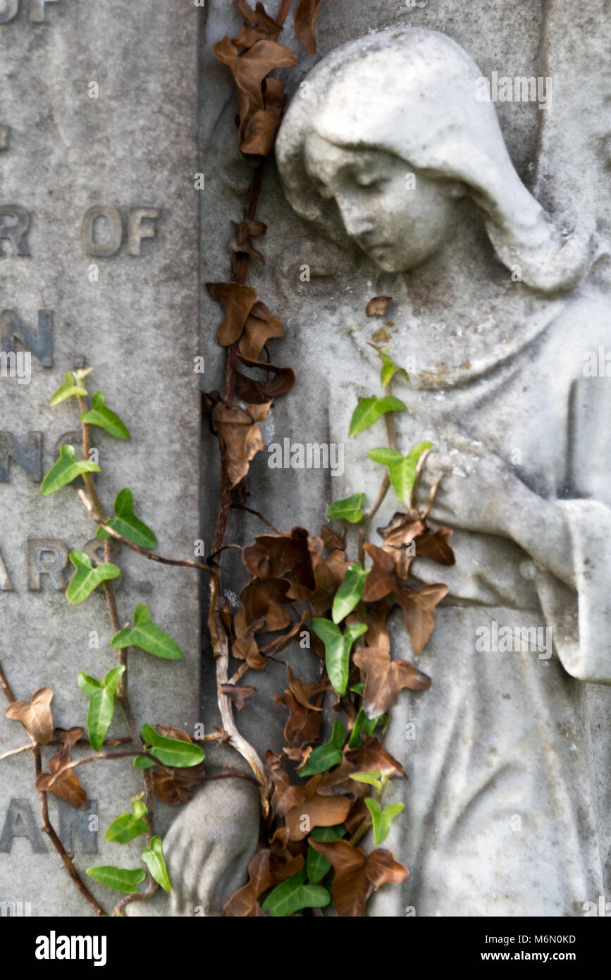 Ivy cresce attraverso una pietra tomba nel cimitero cimitero di 'Old Churchof St Nicholas' in salita Hill, vicino Weston-Super-Mare nel Somerset, Inghilterra Foto Stock