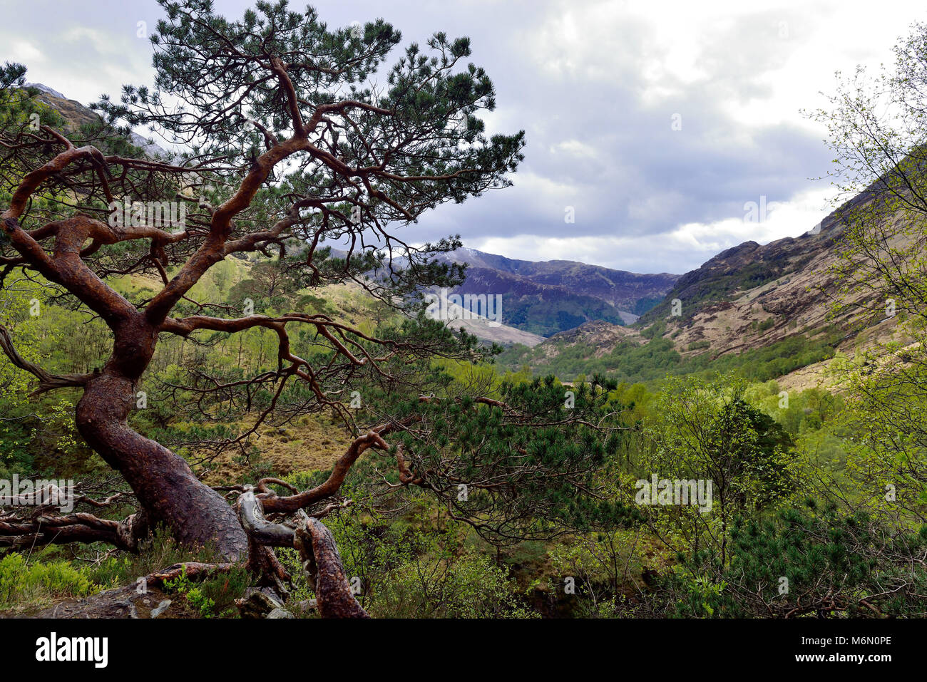 Regno Unito, Scozia, paesaggio delle Highlands. Sullo sfondo il Ben Nevis mountain Foto Stock