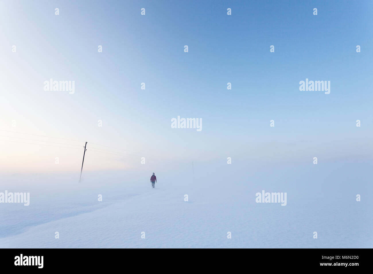 Paesaggio invernale, donna camminare in condizioni di nebbia in Twilight, Ljubljansko barje, Slovenia Foto Stock