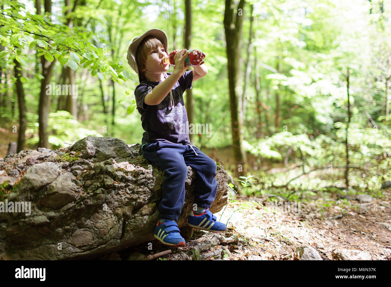 Piccola bionda ragazzo che indossa un cappello prendendo una pausa durante le escursioni, bere dalla bottiglia, Slovenia, Europa Foto Stock