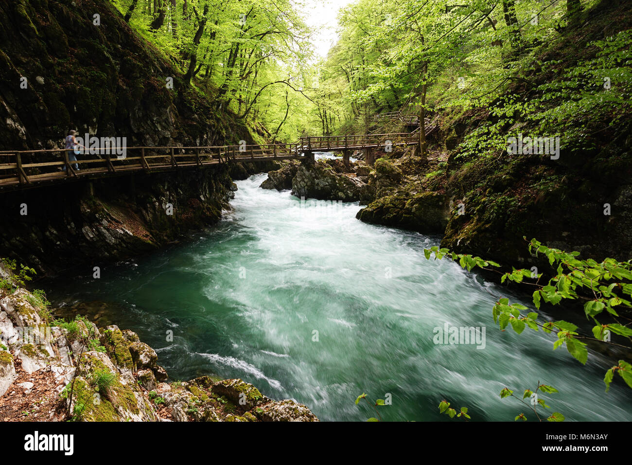 Passeggiata panoramica nella gola gola a bordo passeggiate oltre l'acqua color smeraldo del fiume Radovna sotto, Slovenia Foto Stock