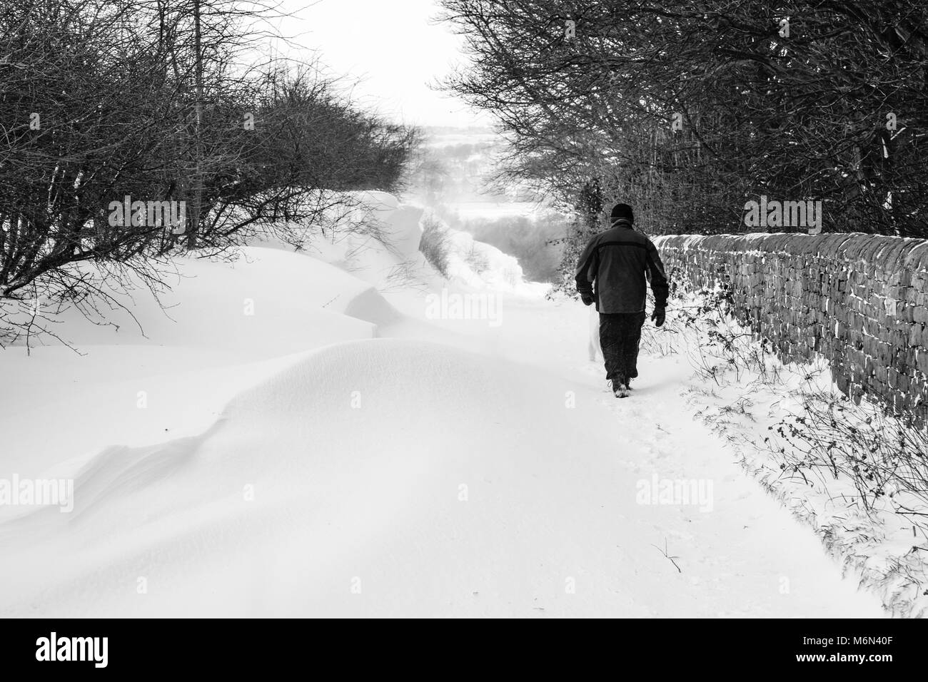 Inverno, Judy boschi e Royds Hall, Bradford, West Yorkshire Foto Stock