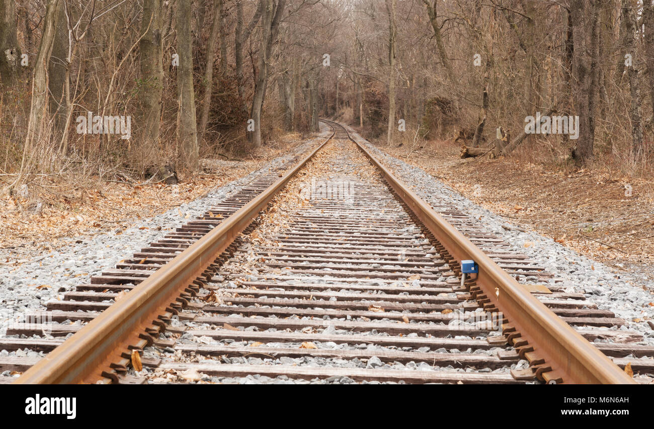 Un basso livello di vista straignt e strette vie RR la curva di un lungo cammino verso il basso le tracce durante questo fosco panorama invernale. Foto Stock