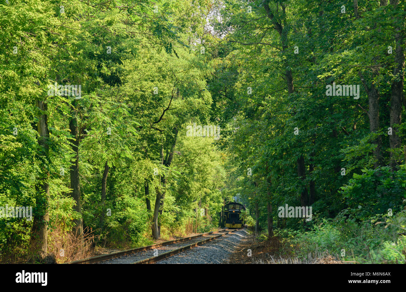 Walkersville Southrern scenic viaggio in treno verso il basso le tracce vicino alla fontana Rock Road Foto Stock