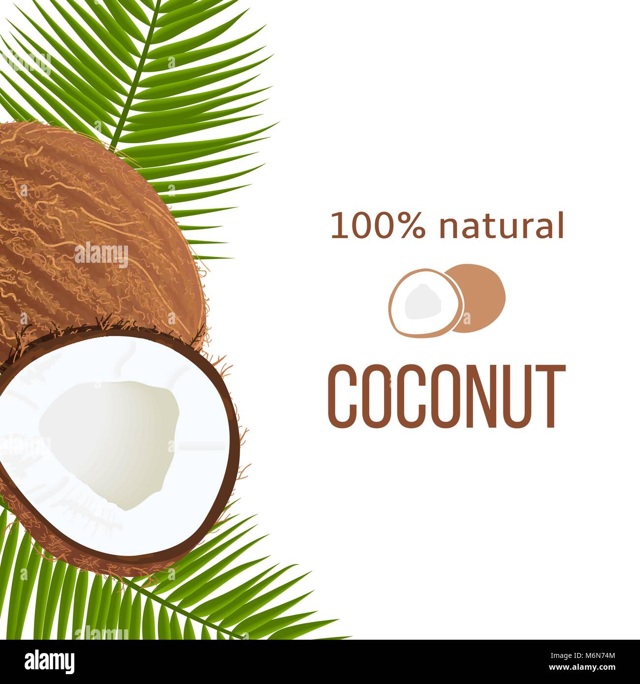 Tutta crepata e mature noci di cocco e foglie di palma con testo stripe 100% naturale. Etichetta verticale. Tropical Illustrazione Vettoriale