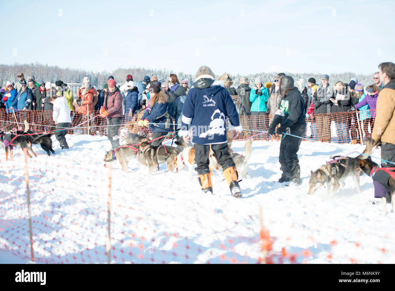 Willow, Alaska, Stati Uniti d'America. 4 Mar, 2018. Si avvicina alla linea di partenza della Iditarod Sled Dog Race. Credito: Kristen Bentz/Alamy Live News Foto Stock