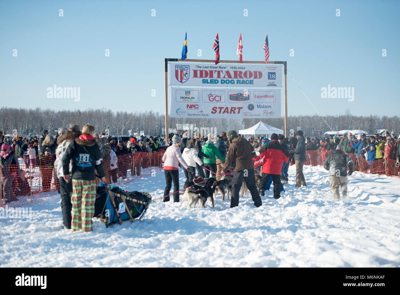 Willow, Alaska, Stati Uniti d'America. Mar 4, 2018. Kristy Berington del Knik, AK, STATI UNITI D'AMERICA si avvicina alla linea di partenza della Iditarod Sled Dog Race. Credito: Kristen Bentz/Alamy Live News Foto Stock