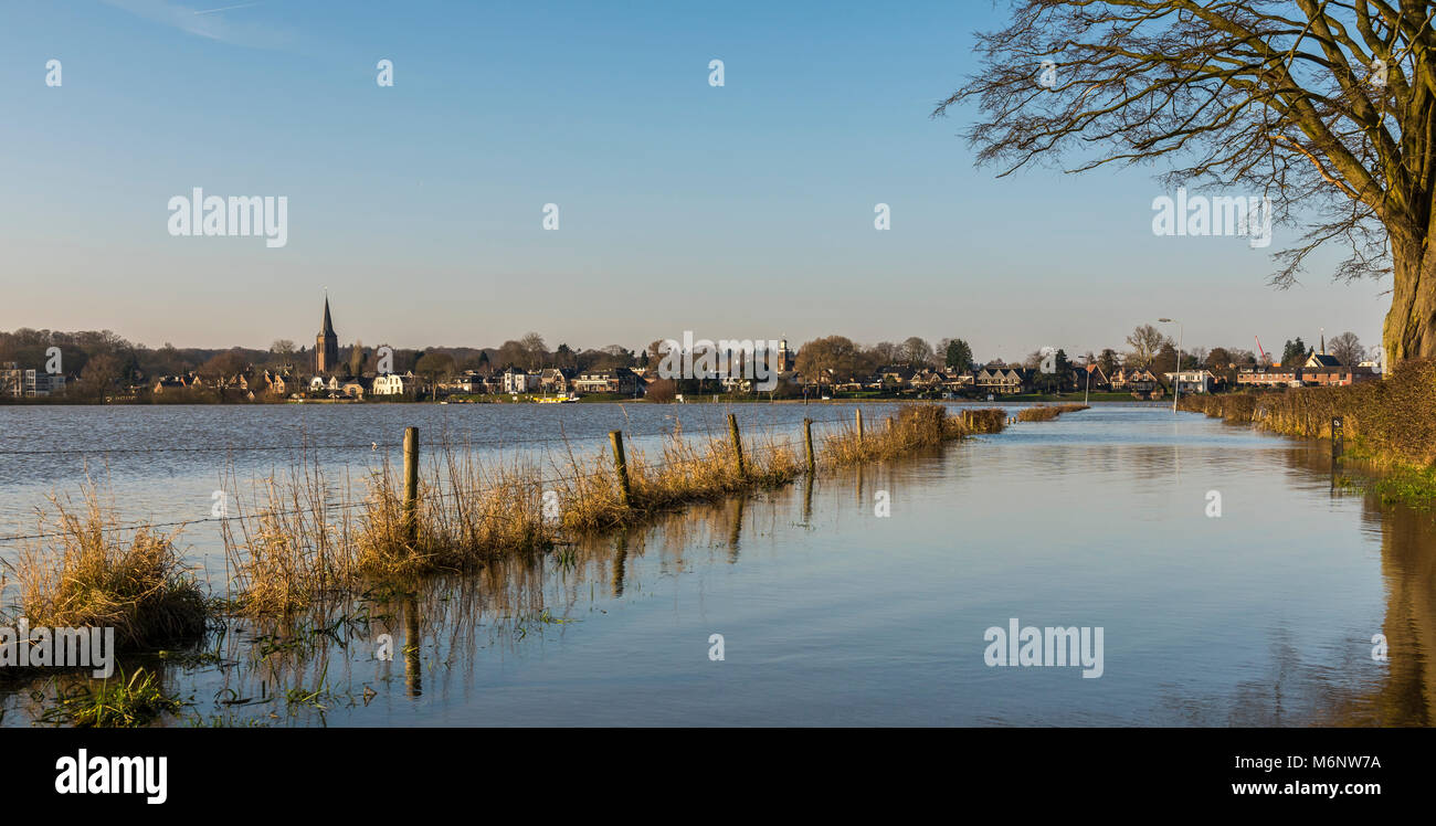 Le pianure alluvionali del fiume IJssel vicino a Dieren in Gelderland. Foto Stock