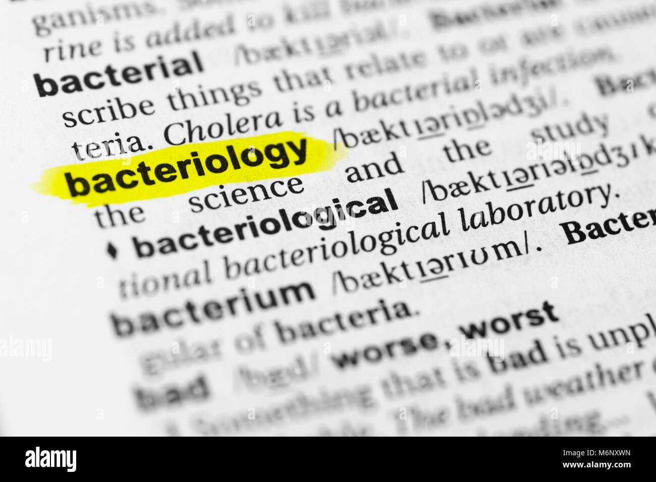 Sottolineato parola inglese 'batteriologia' e la sua definizione nel dizionario. Foto Stock