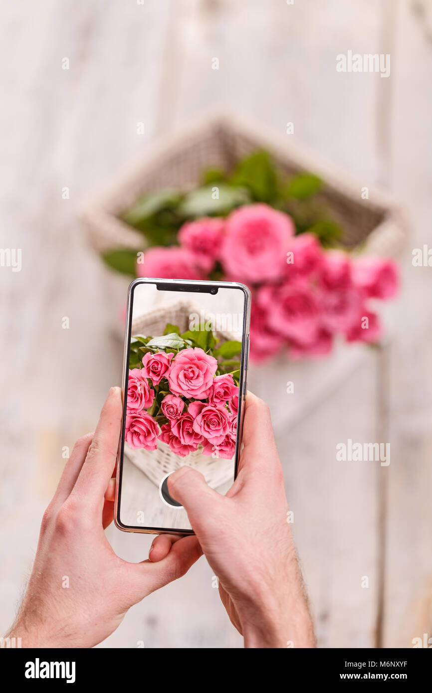 L'uomo prendendo foto di fiori di rose con il telefono cellulare Foto Stock