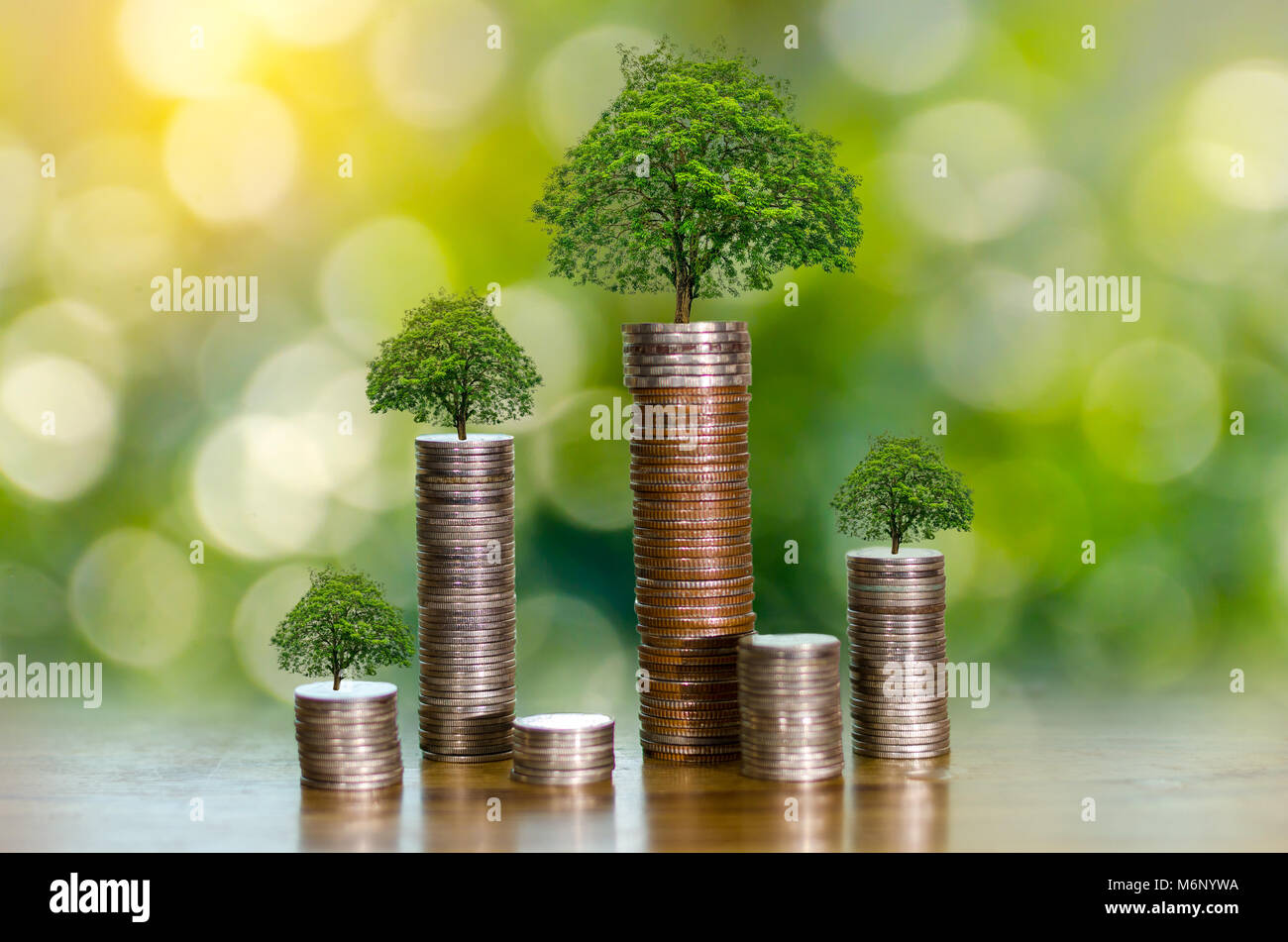 Lato albero di monete l'albero cresce sulla pila. Risparmio di denaro per il futuro. Le idee di investimento e crescita aziendale. Sfondo verde con bokeh sun Foto Stock