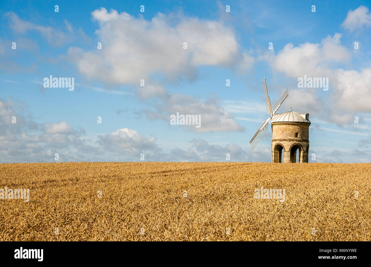L'unico arcuata di torre in pietra del mulino a vento di Chesterton in un campo di mais dorato su una soleggiata giornata estiva - Warwickshire, Regno Unito Foto Stock