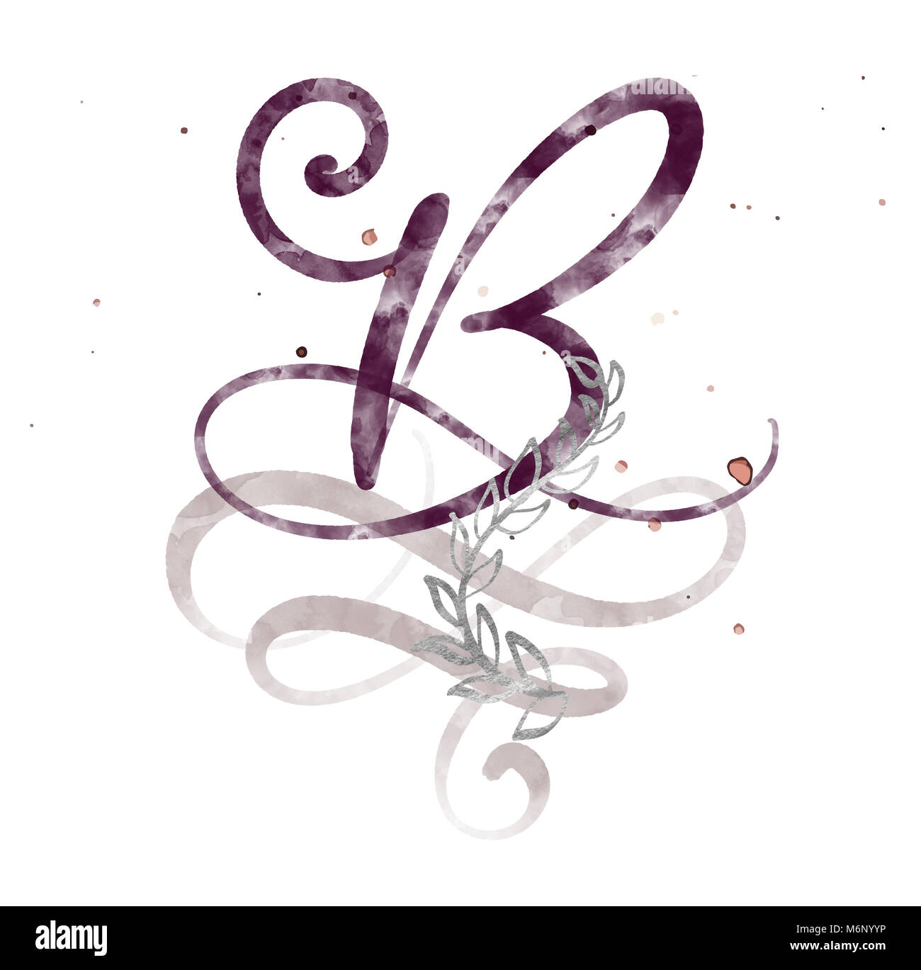 Disegnato a mano la lettera di calligrafia B. acquerello font Script. Isolato di lettere scritte con inchiostro. Manoscritte stile Brush. Scritte a mano per i loghi packaging design poster, Wedding, biglietto di auguri di compleanno Foto Stock