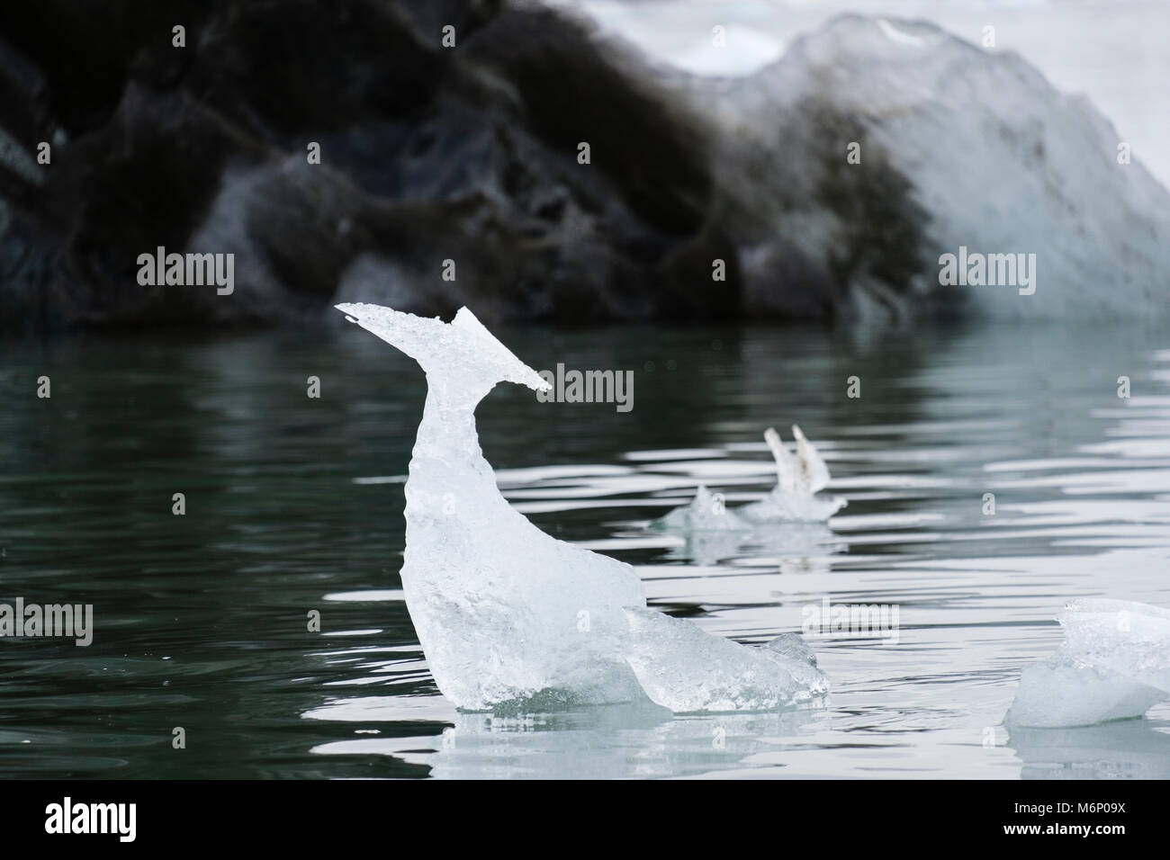 La forma naturale della scultura di ghiaccio conformato come un uccello fluttuante nel mare ghiacciato off Spitsbergen, Svalbard, Norvegia, Scandinavia, Europa Foto Stock