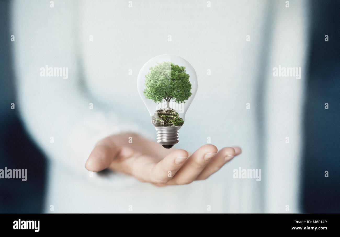 Albero in una lampadina elettrica, il concetto di ambiente Foto Stock