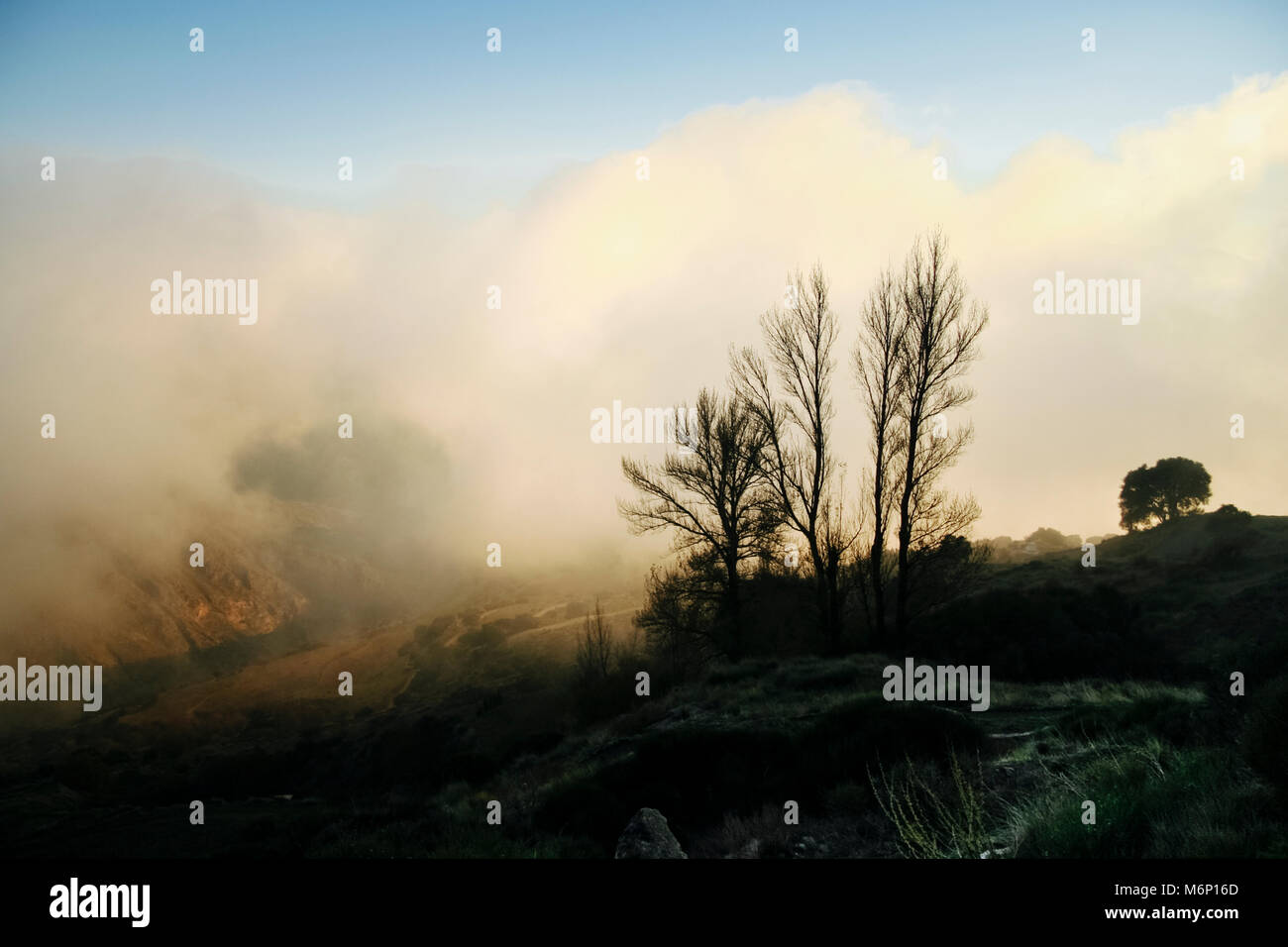 Las Alpujarras Sierra Nevada, provincia di Granada, Andalusia, Spagna : paesaggio con alberi nella nebbia di una nuvola bassa illuminata dal tramonto all'O SE Foto Stock