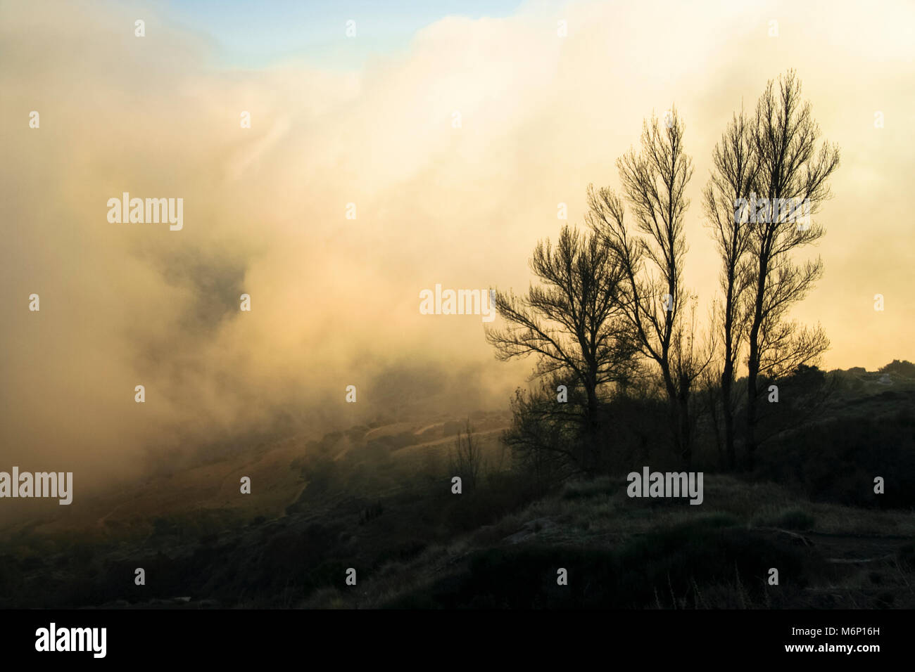 Las Alpujarras Sierra Nevada, provincia di Granada, Andalusia : paesaggio con alberi nella nebbia di una nuvola bassa illuminata dal tramonto a O Sel Ling Foto Stock