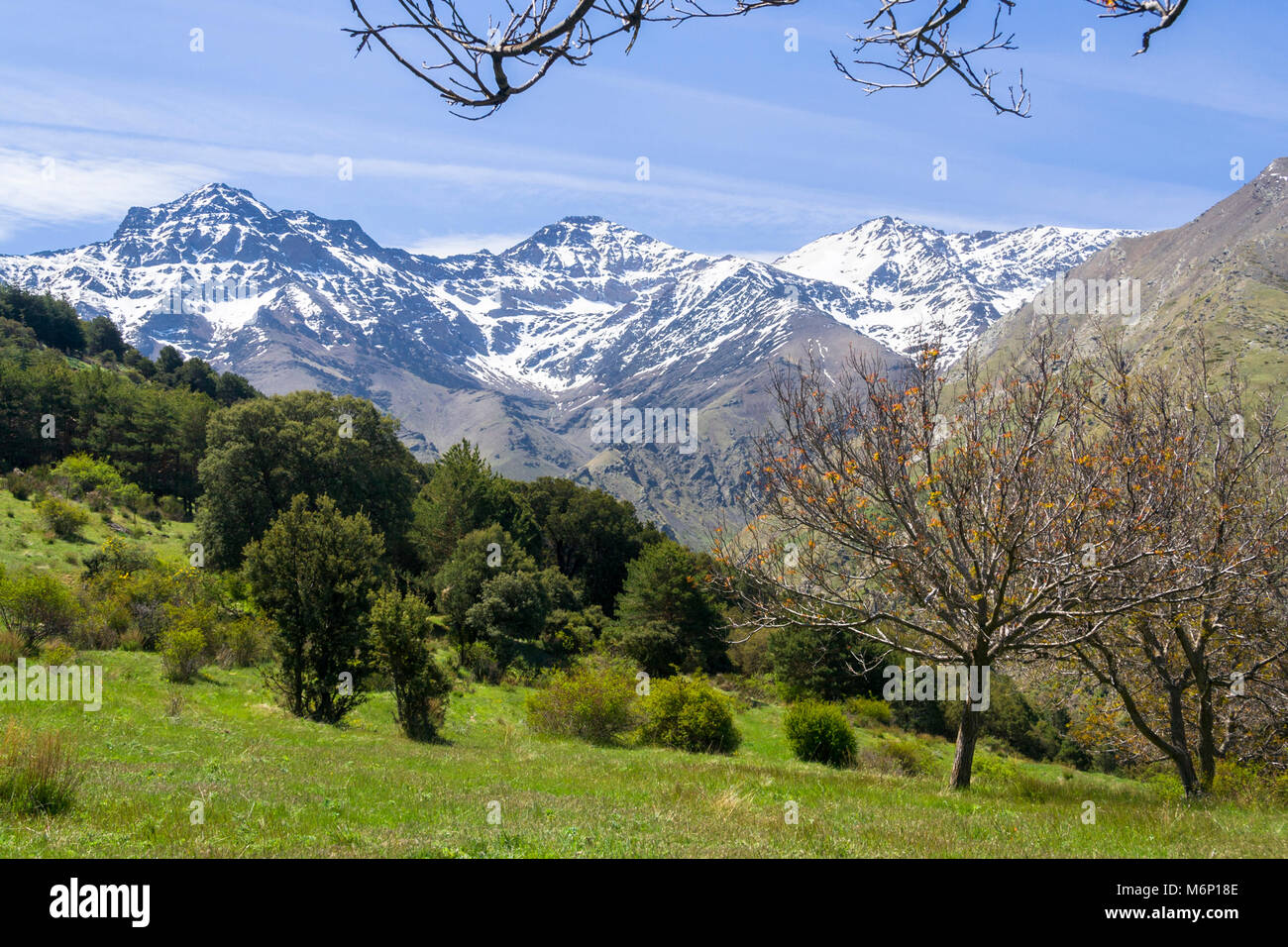 Sierra Nevada. Mulhacen, 3.478,6 m, la montagna più alta della penisola iberica, la Alcazaba, 3.371 m (sinistra ) e la caldera, 3.226 m (a destra) picchi Foto Stock